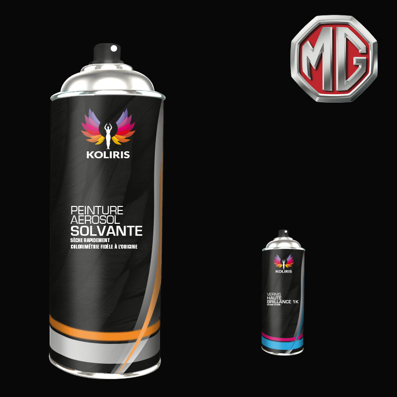 Pack 2 aérosols peinture voiture Mg Solvant - Carenciel