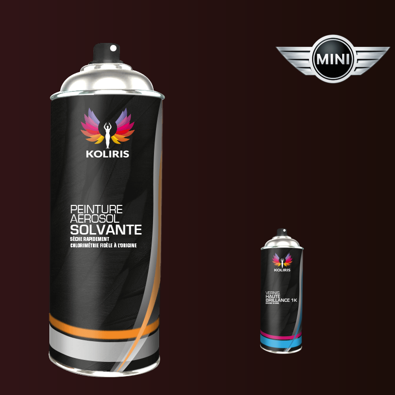 Pack 2 aérosols peinture voiture solvant Mini Koliris