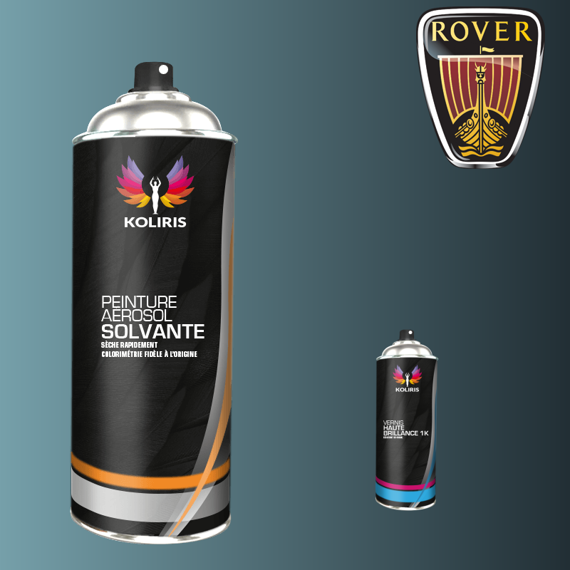 Pack 2 aérosols peinture voiture solvant Rover 400ml