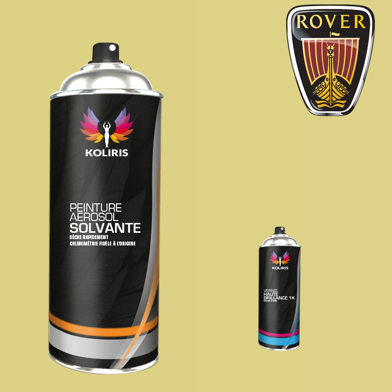 Pack 2 aérosols peinture voiture solvant Rover 400ml