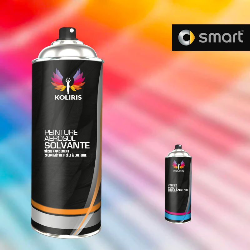 Pack 2 aérosols peinture voiture solvant Smart