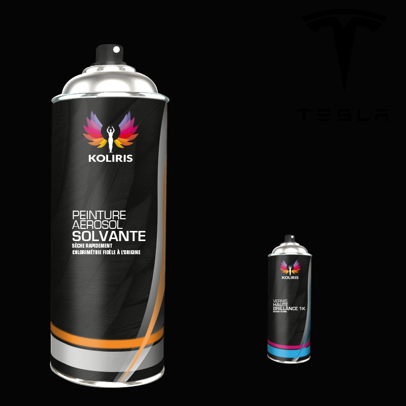Pack 2 aérosols peinture voiture solvant Tesla 400ml - carenciel.pro