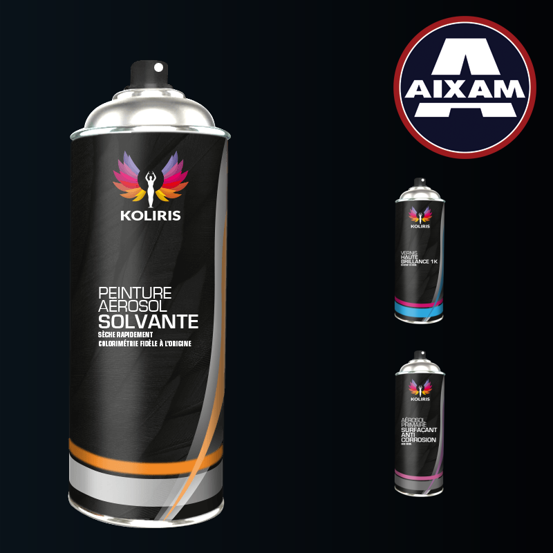 Pack 3 aérosols peinture voiture solvant Aixam