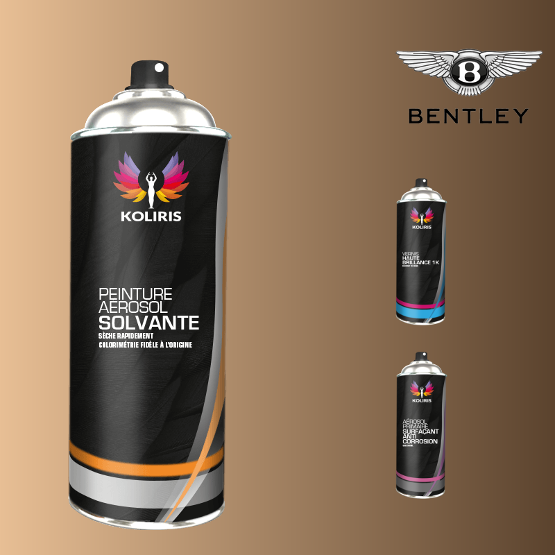 Pack 3 aérosols peinture voiture solvant Bentley 400ml