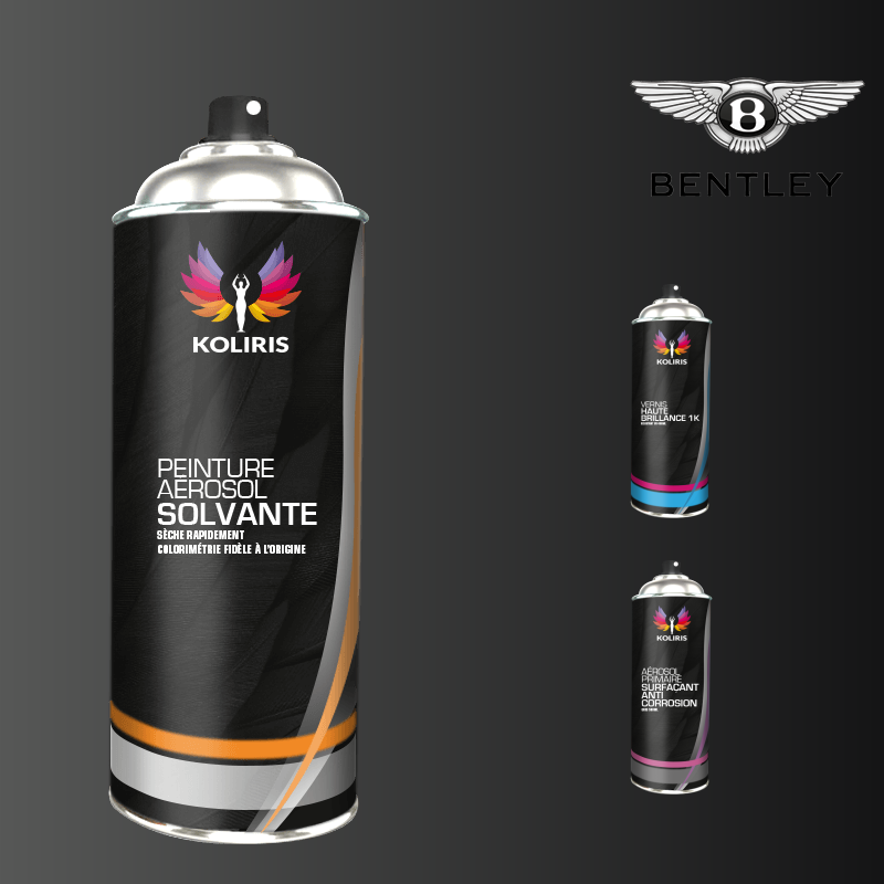 Pack 3 aérosols peinture voiture solvant Bentley 400ml