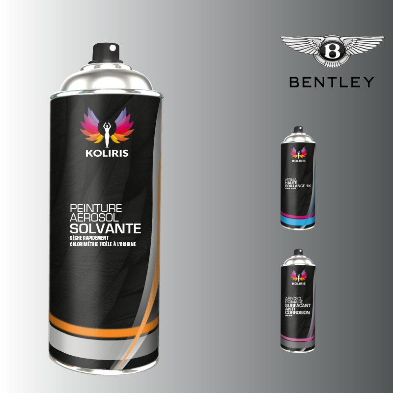 Pack 3 aérosols peinture voiture solvant Bentley 400ml