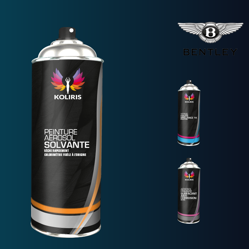 Pack 3 aérosols peinture voiture solvant Bentley 400ml