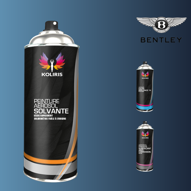 Pack 3 aérosols peinture voiture solvant Bentley 400ml
