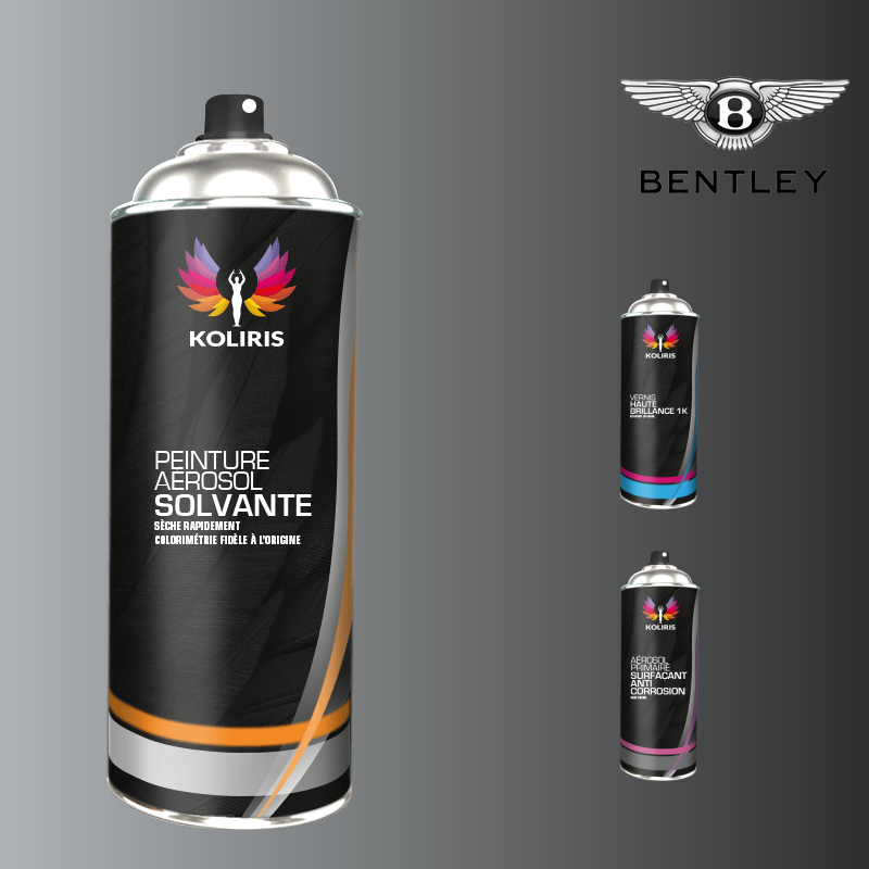 Pack 3 aérosols peinture voiture solvant Bentley 400ml