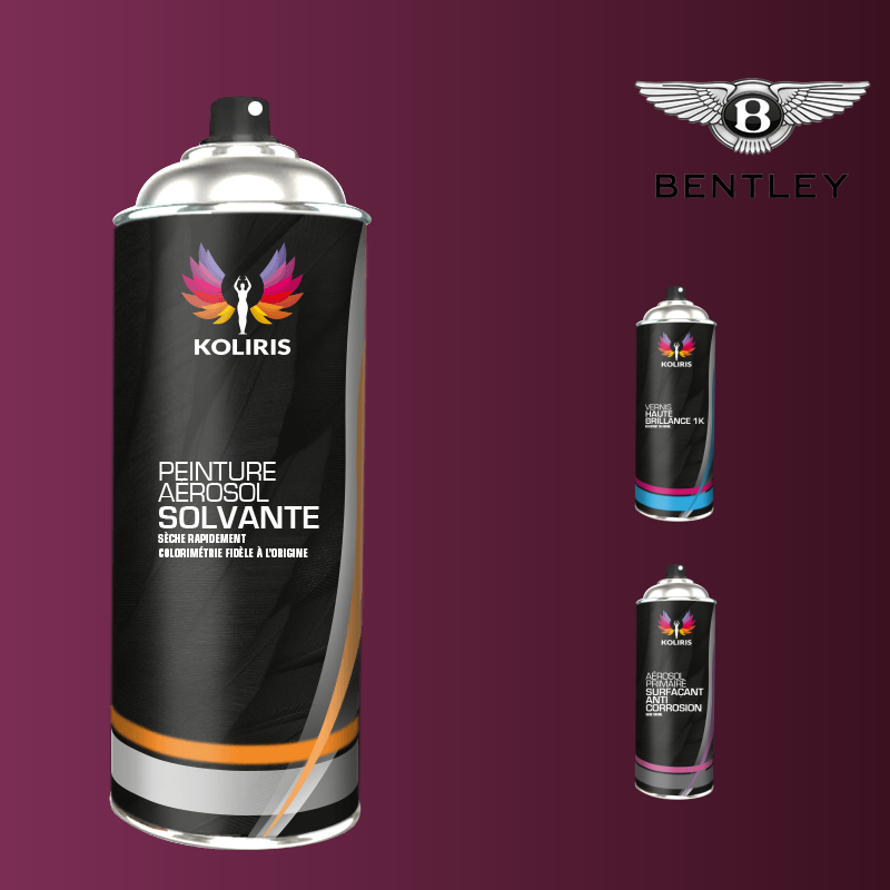 Pack 3 aérosols peinture voiture solvant Bentley 400ml