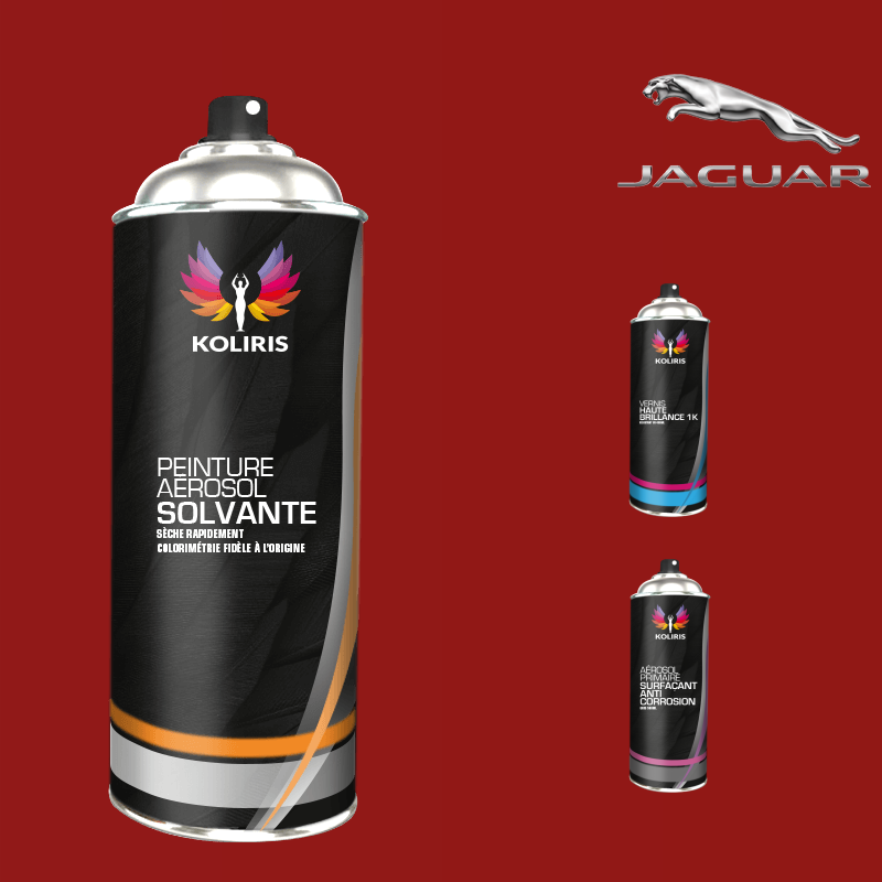 Pack 3 aérosols peinture voiture solvant Jaguar