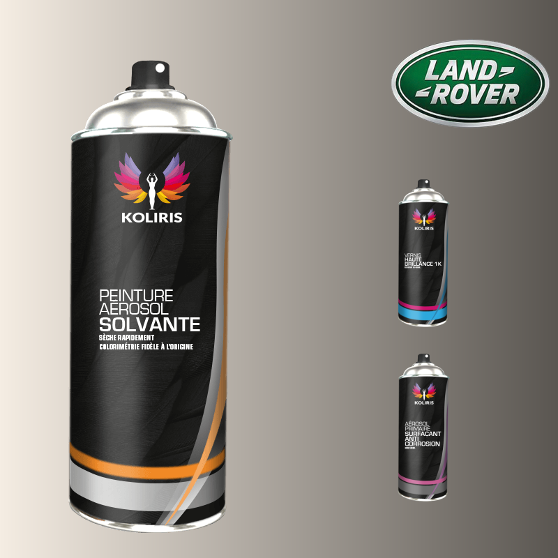 Pack 3 aérosols peinture voiture solvant Landrover