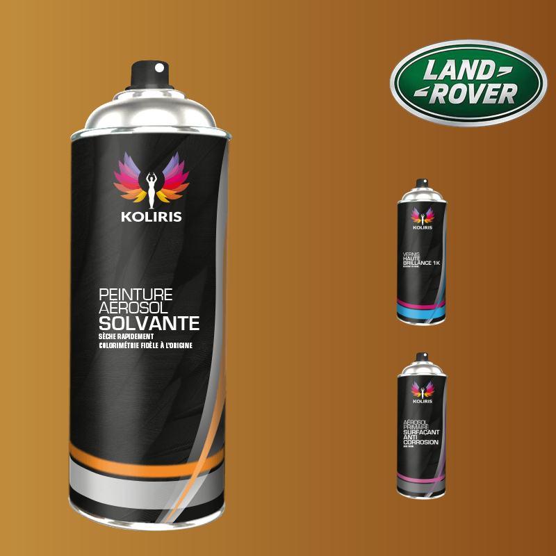 Pack 3 aérosols peinture voiture solvant Landrover