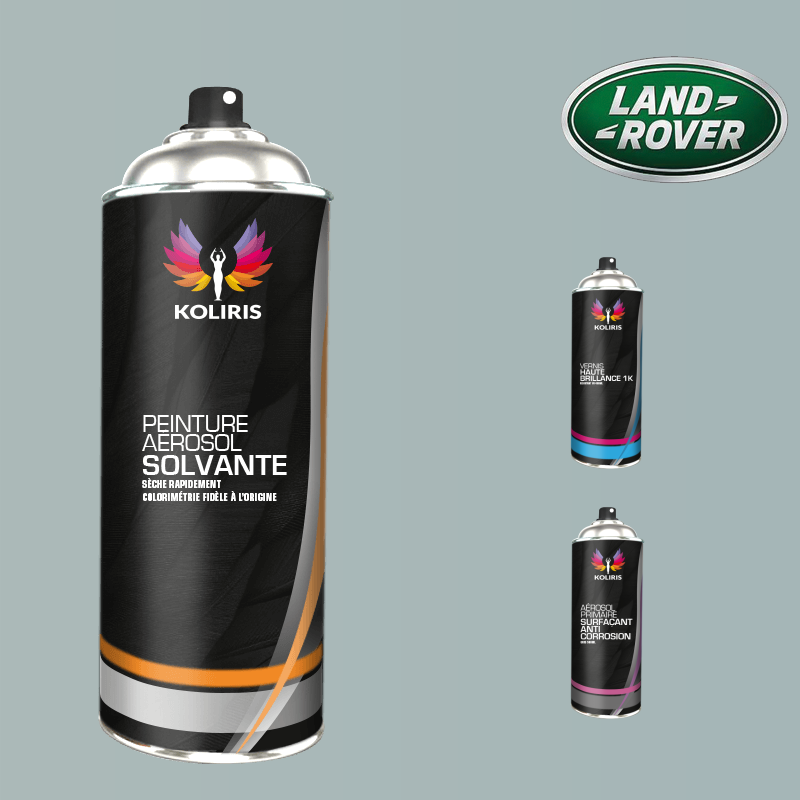 Pack 3 aérosols peinture voiture solvant Landrover