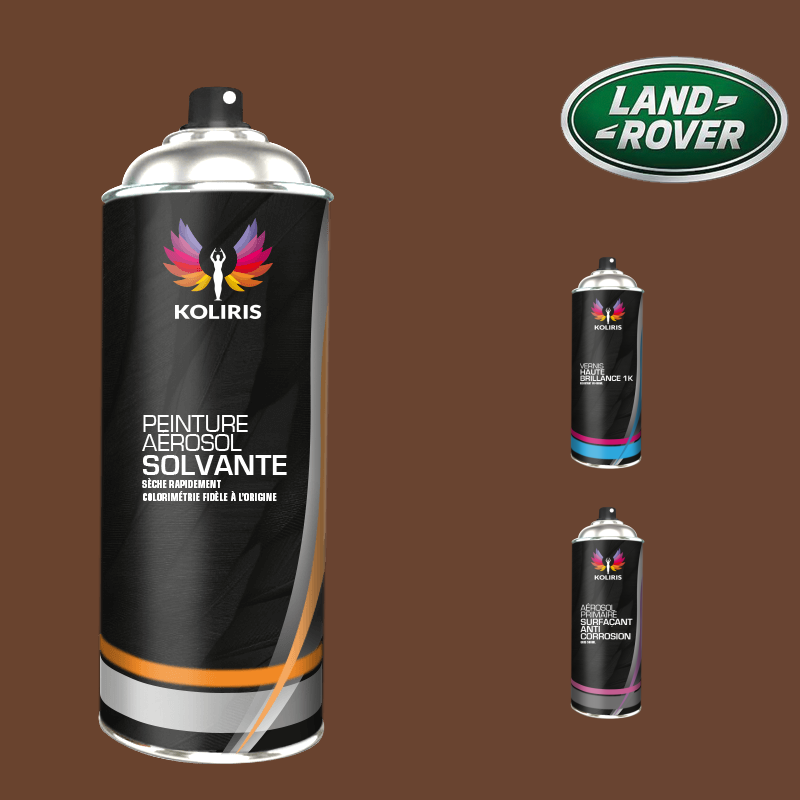 Pack 3 aérosols peinture voiture solvant Landrover