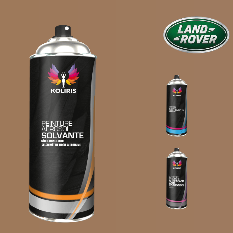 Pack 3 aérosols peinture voiture solvant Landrover