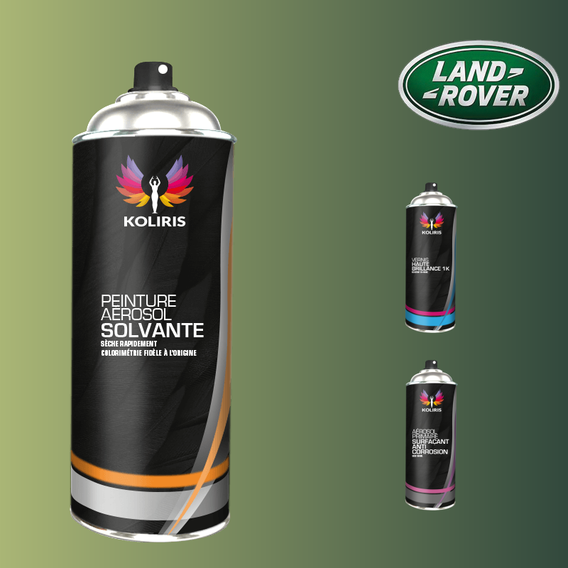 Pack 3 aérosols peinture voiture solvant Landrover
