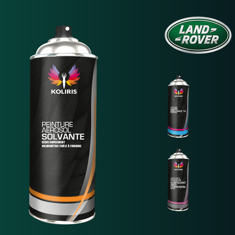 Pack 3 aérosols peinture voiture solvant Landrover