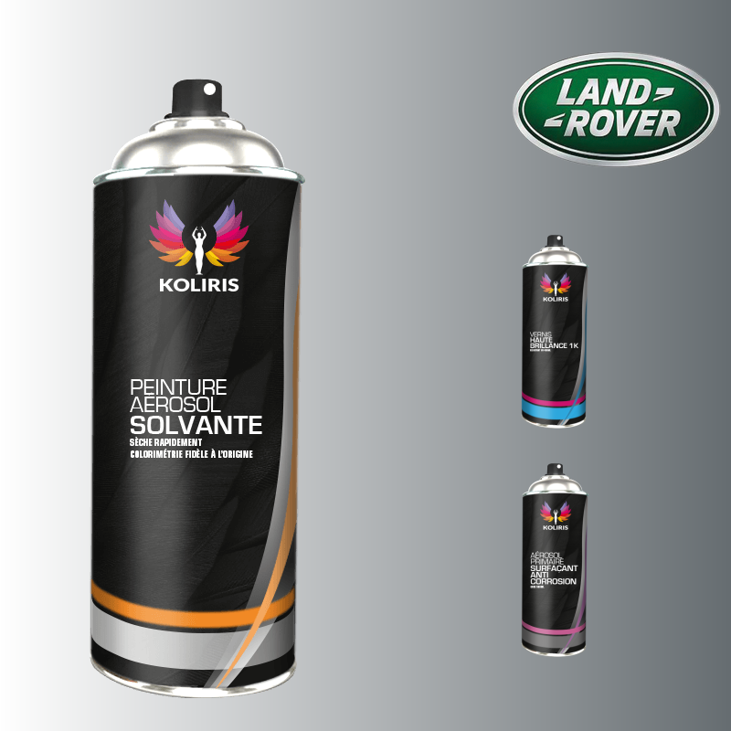 Pack 3 aérosols peinture voiture solvant Landrover
