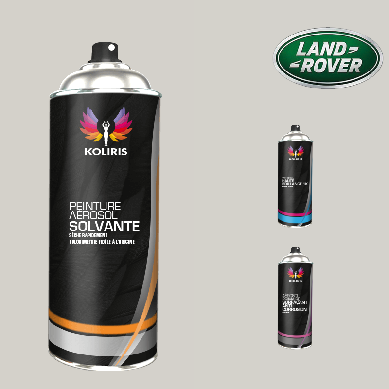 Pack 3 aérosols peinture voiture solvant Landrover