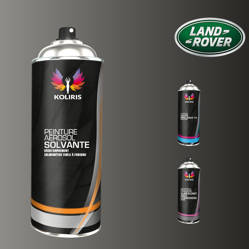 Pack 3 aérosols peinture voiture solvant Landrover