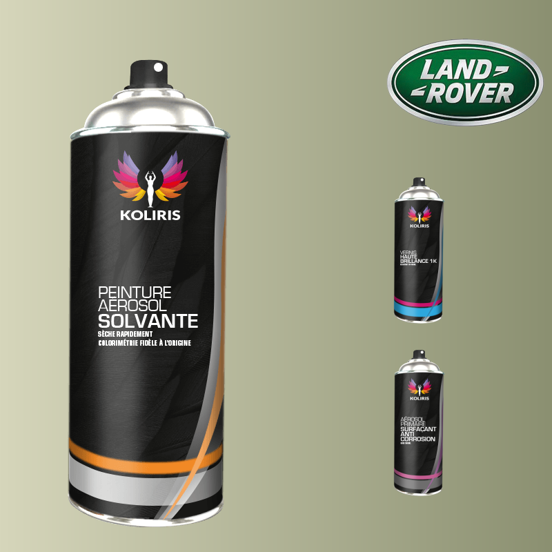 Pack 3 aérosols peinture voiture solvant Landrover