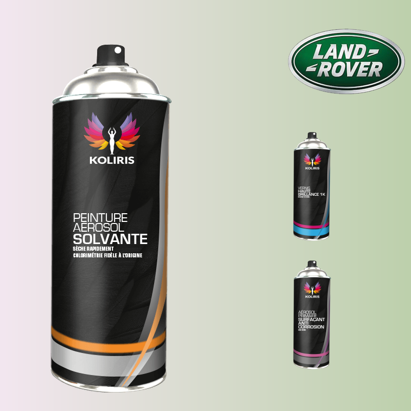 Pack 3 aérosols peinture voiture solvant Landrover