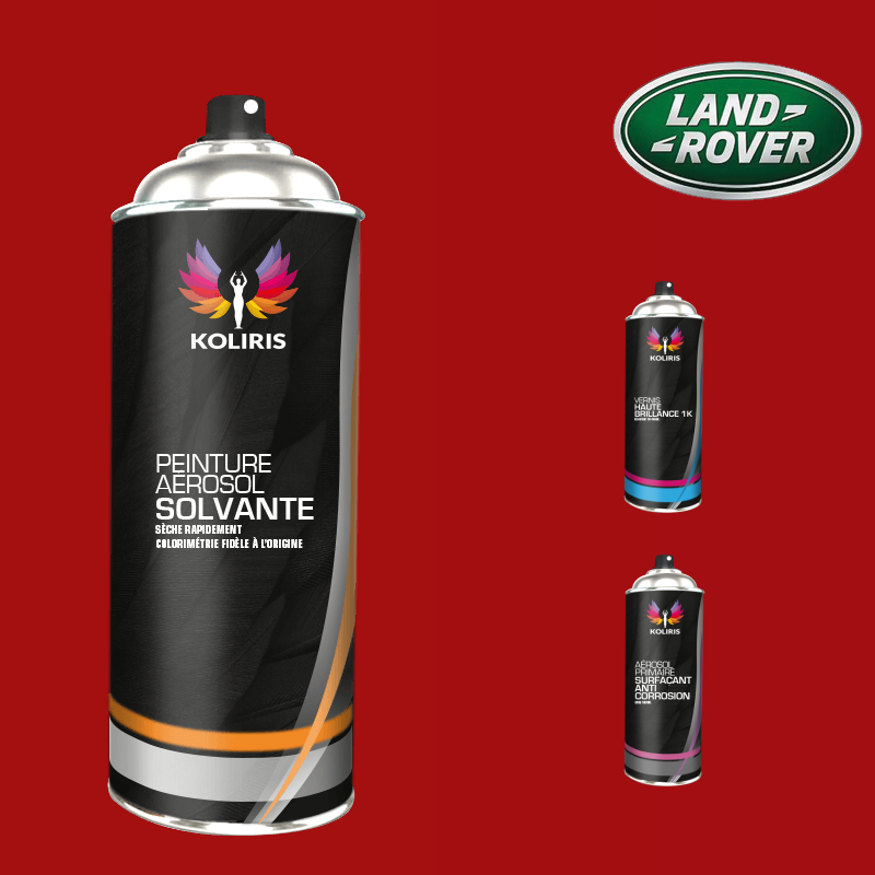 Pack 3 aérosols peinture voiture solvant Landrover