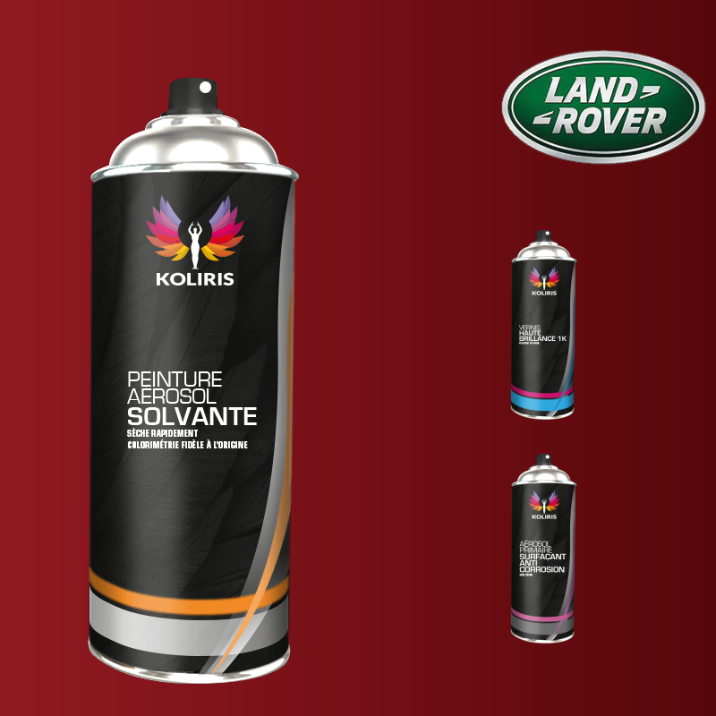 Pack 3 aérosols peinture voiture solvant Landrover