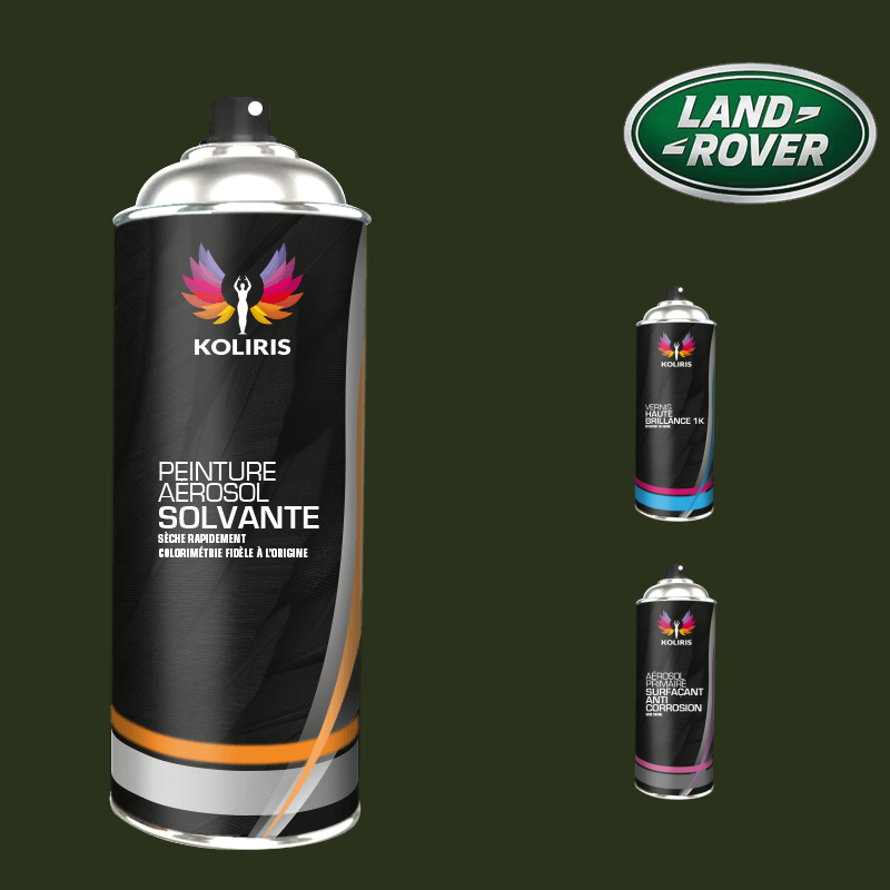 Pack 3 aérosols peinture voiture solvant Landrover