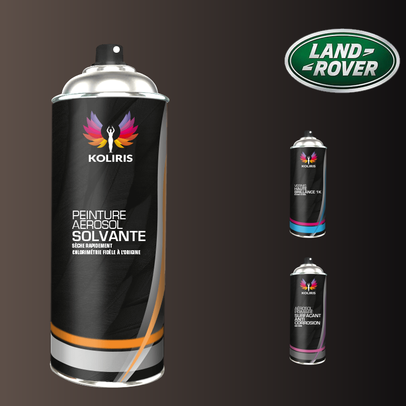 Pack 3 aérosols peinture voiture solvant Landrover