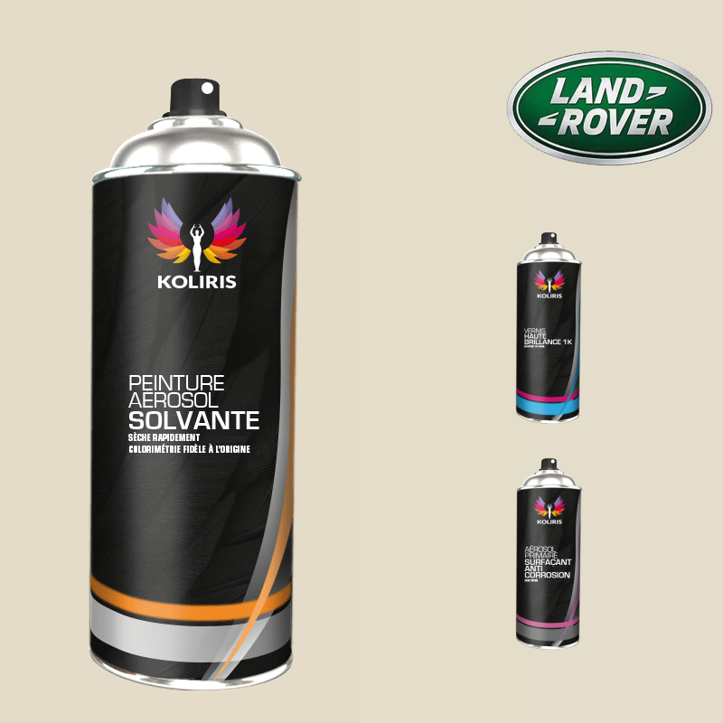 Pack 3 aérosols peinture voiture solvant Landrover