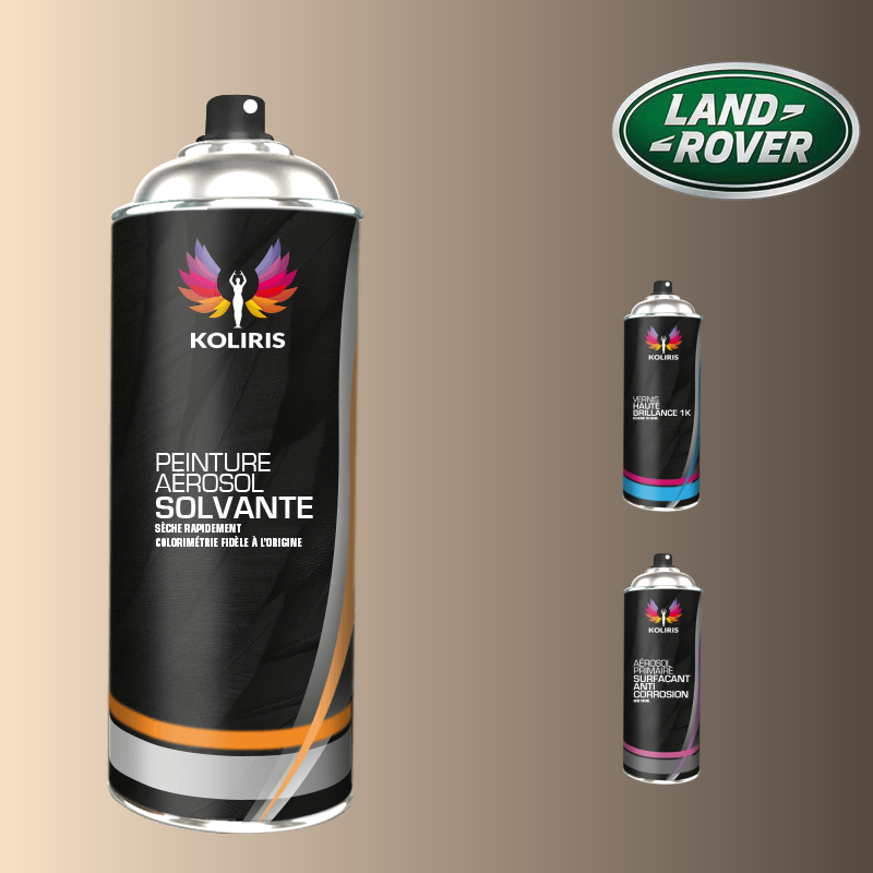 Pack 3 aérosols peinture voiture solvant Landrover