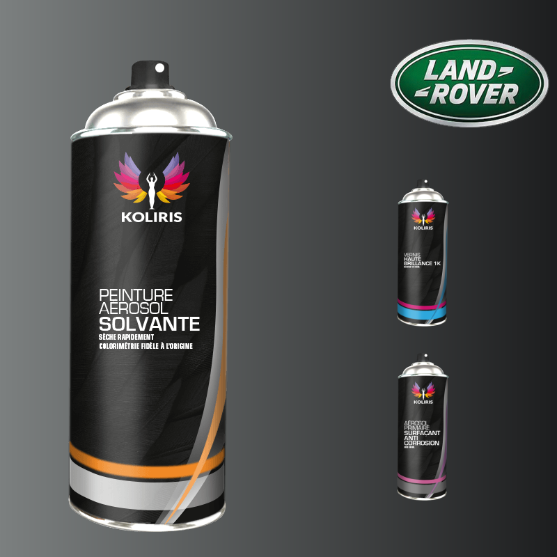 Pack 3 aérosols peinture voiture solvant Landrover