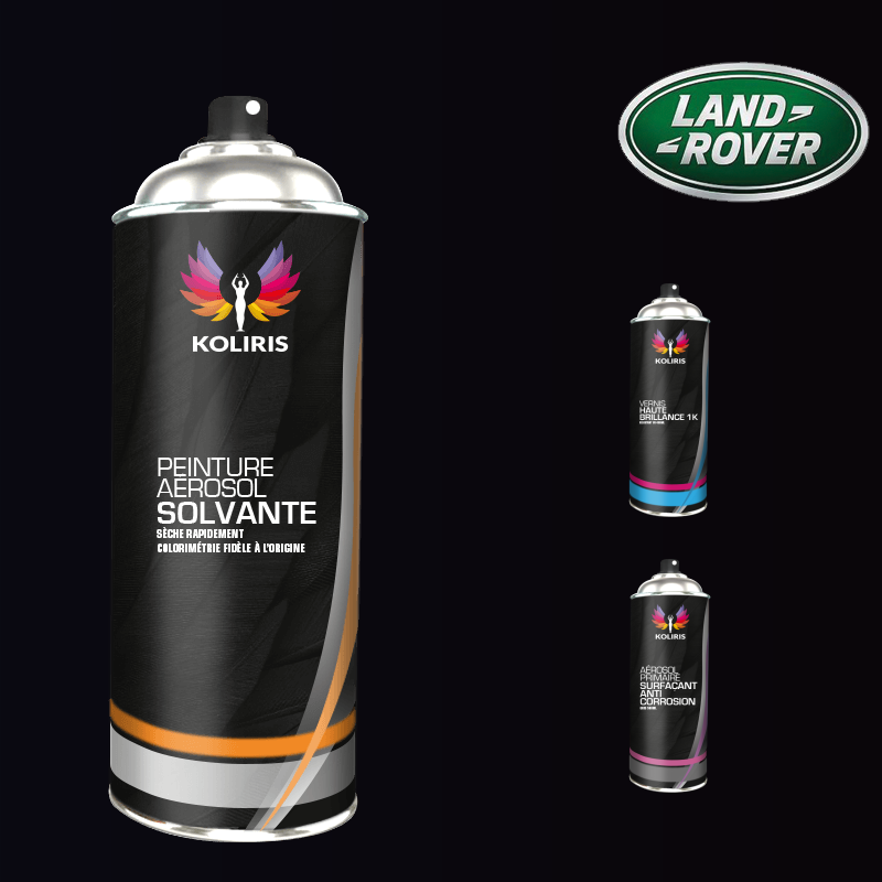 Pack 3 aérosols peinture voiture solvant Landrover