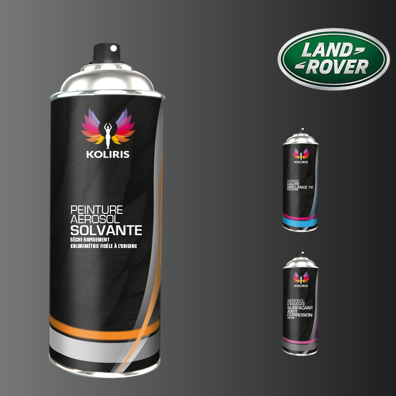 Pack 3 aérosols peinture voiture solvant Landrover