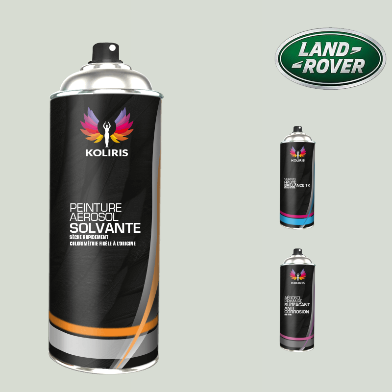Pack 3 aérosols peinture voiture solvant Landrover