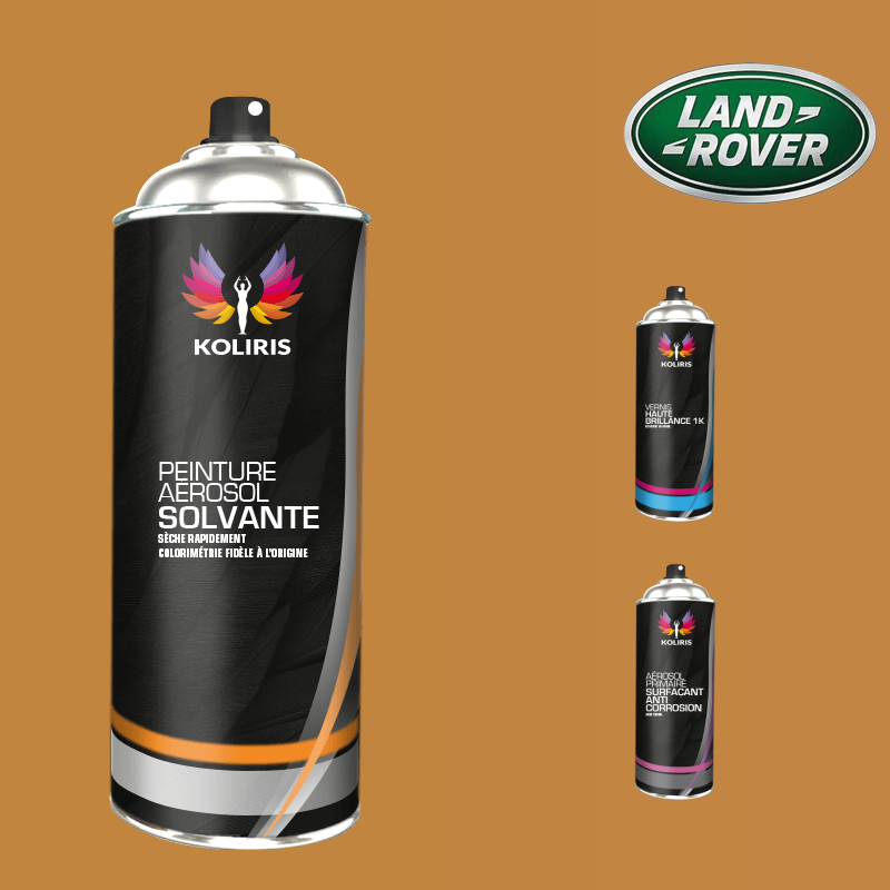 Pack 3 aérosols peinture voiture solvant Landrover
