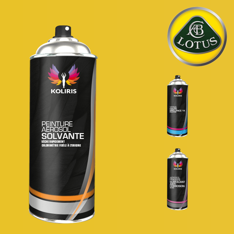 Pack 3 aérosols peinture voiture solvant Lotus