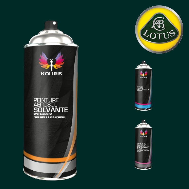 Pack 3 aérosols peinture voiture solvant Lotus