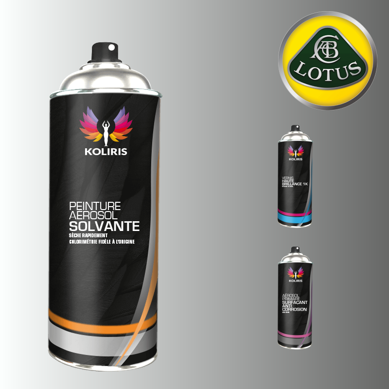 Pack 3 aérosols peinture voiture solvant Lotus