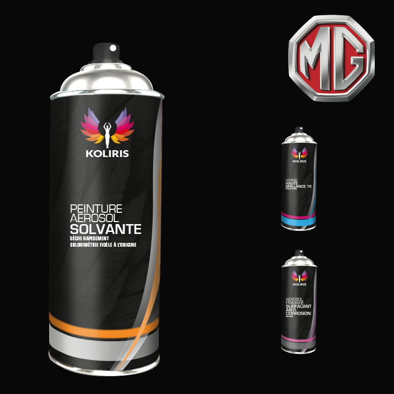 Pack 3 aérosols peinture voiture Mg - Carenciel