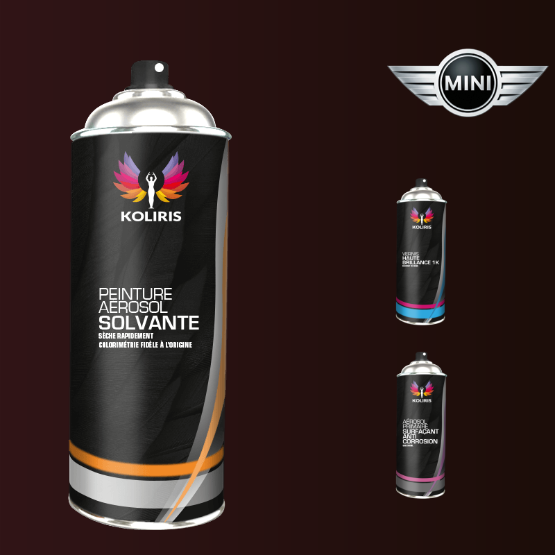 Pack 3 aérosols peinture voiture solvant Mini