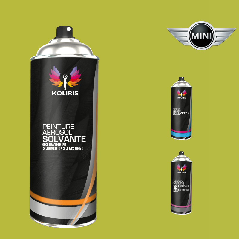 Pack 3 aérosols peinture voiture solvant Mini