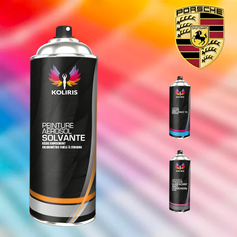 Pack 3 aérosols peinture voiture solvant Porsche