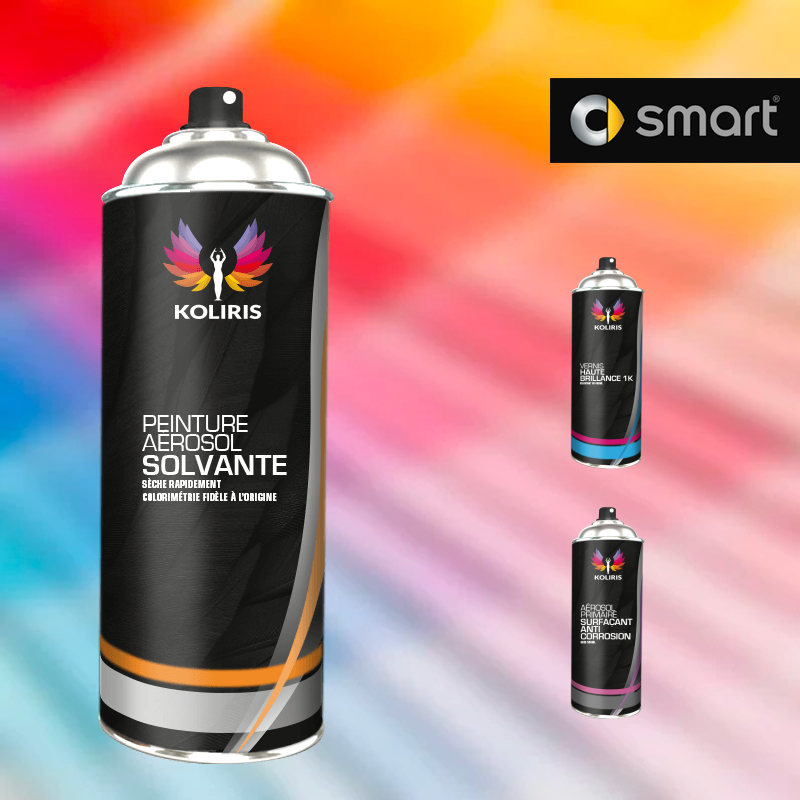 Pack 3 aérosols peinture voiture solvant Smart
