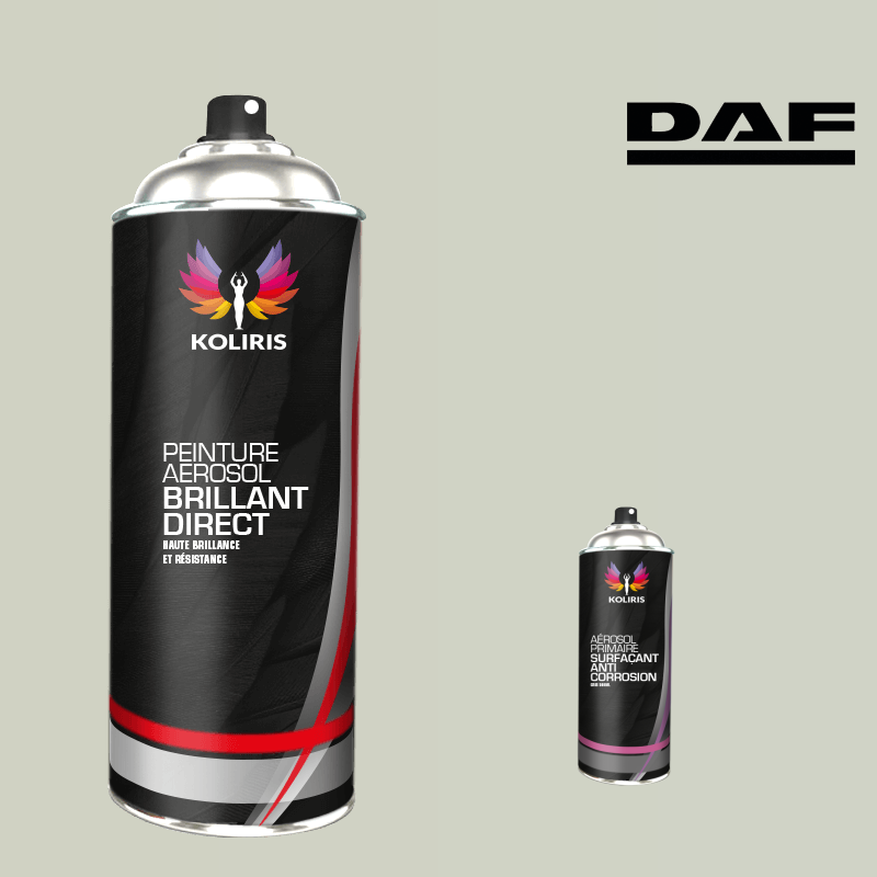 Pack 2 aérosols peinture utilitaire 1K brillant Daf