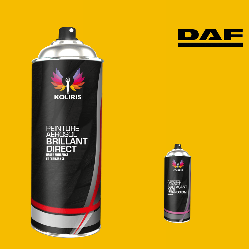 Pack 2 aérosols peinture utilitaire 1K brillant Daf