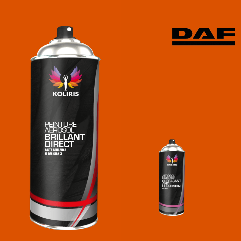 Pack 2 aérosols peinture utilitaire 1K brillant Daf