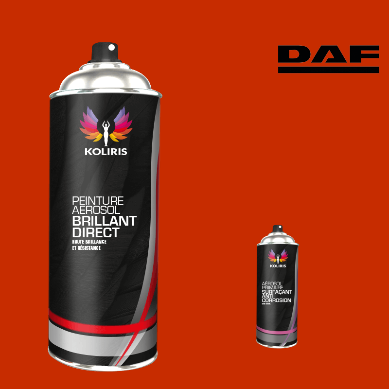 Pack 2 aérosols peinture utilitaire 1K brillant Daf